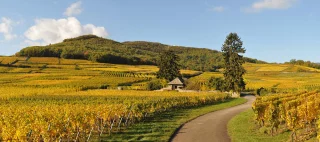 André Tempé