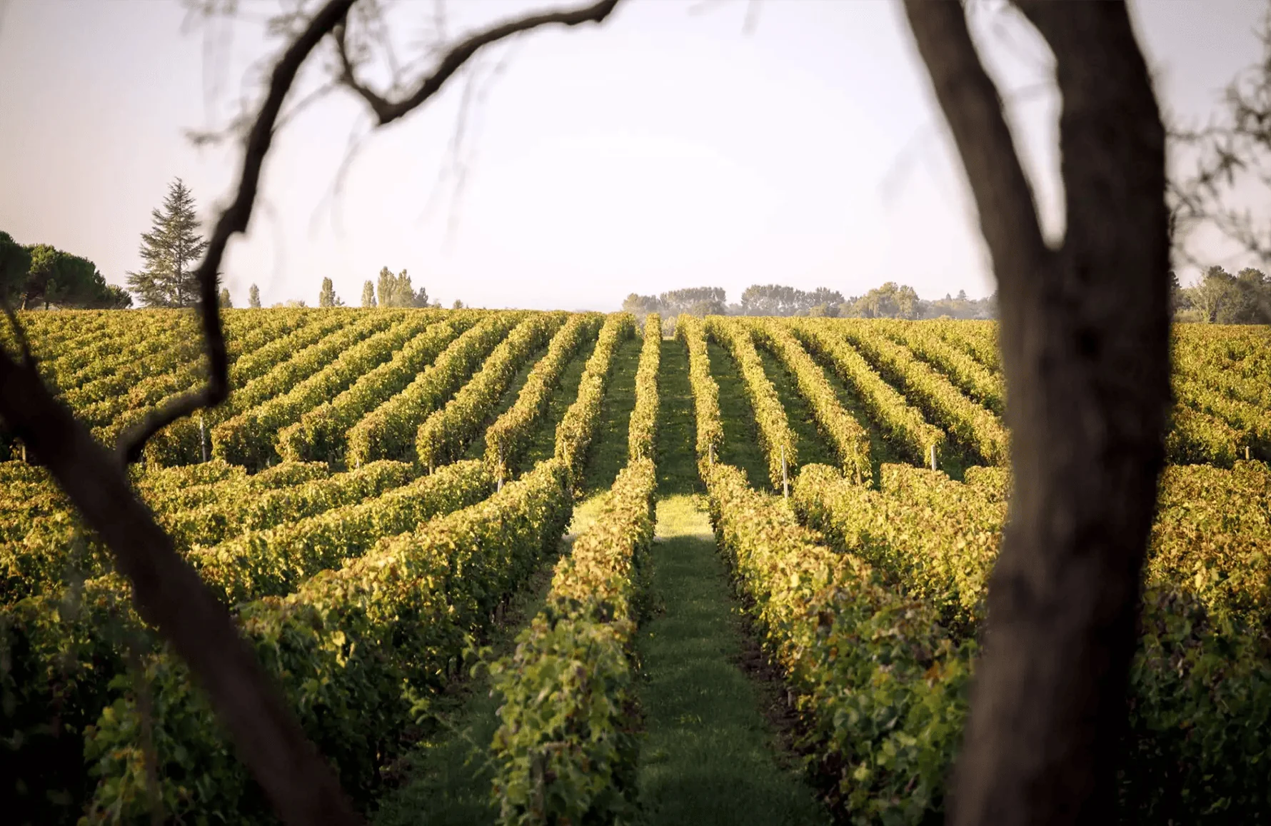 Bouteille Château Duhart-Milon – Pauillac Rouge