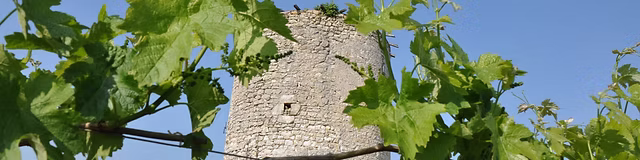 Château Le Tertre de Caussan