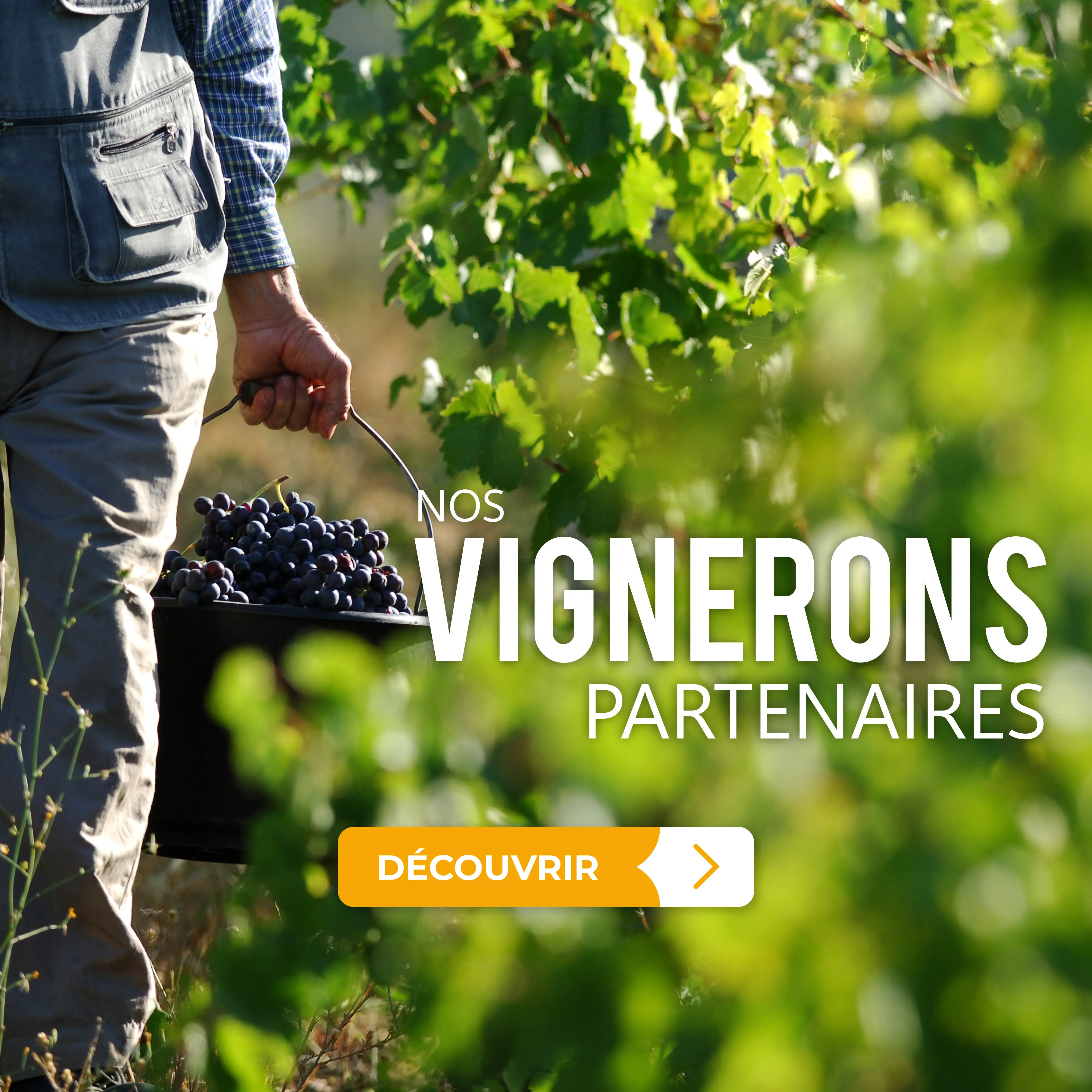 Nos vignerons partenaires | Cave du Val d'or