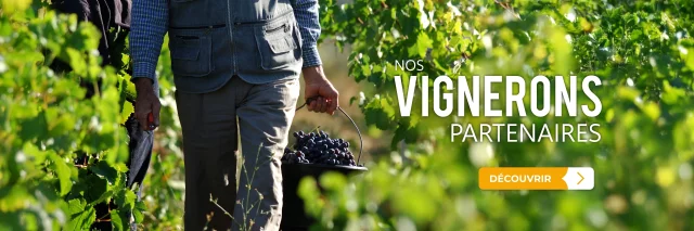 Les Vignerons partenaires Cave du Val d'Or