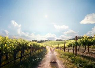 Dégustation en magasin