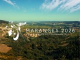 Paysage des Maranges avec le logo de la Saint Vincent 2026