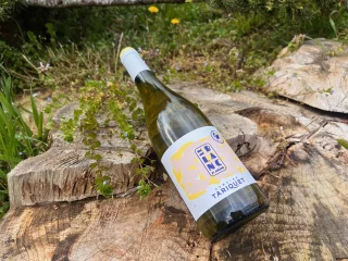 Saint-Amand Le Blanc : fraîcheur et éclat