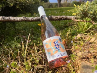 Saint-Amand Le Rosé : l’esprit festif