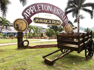 Appleton Estate