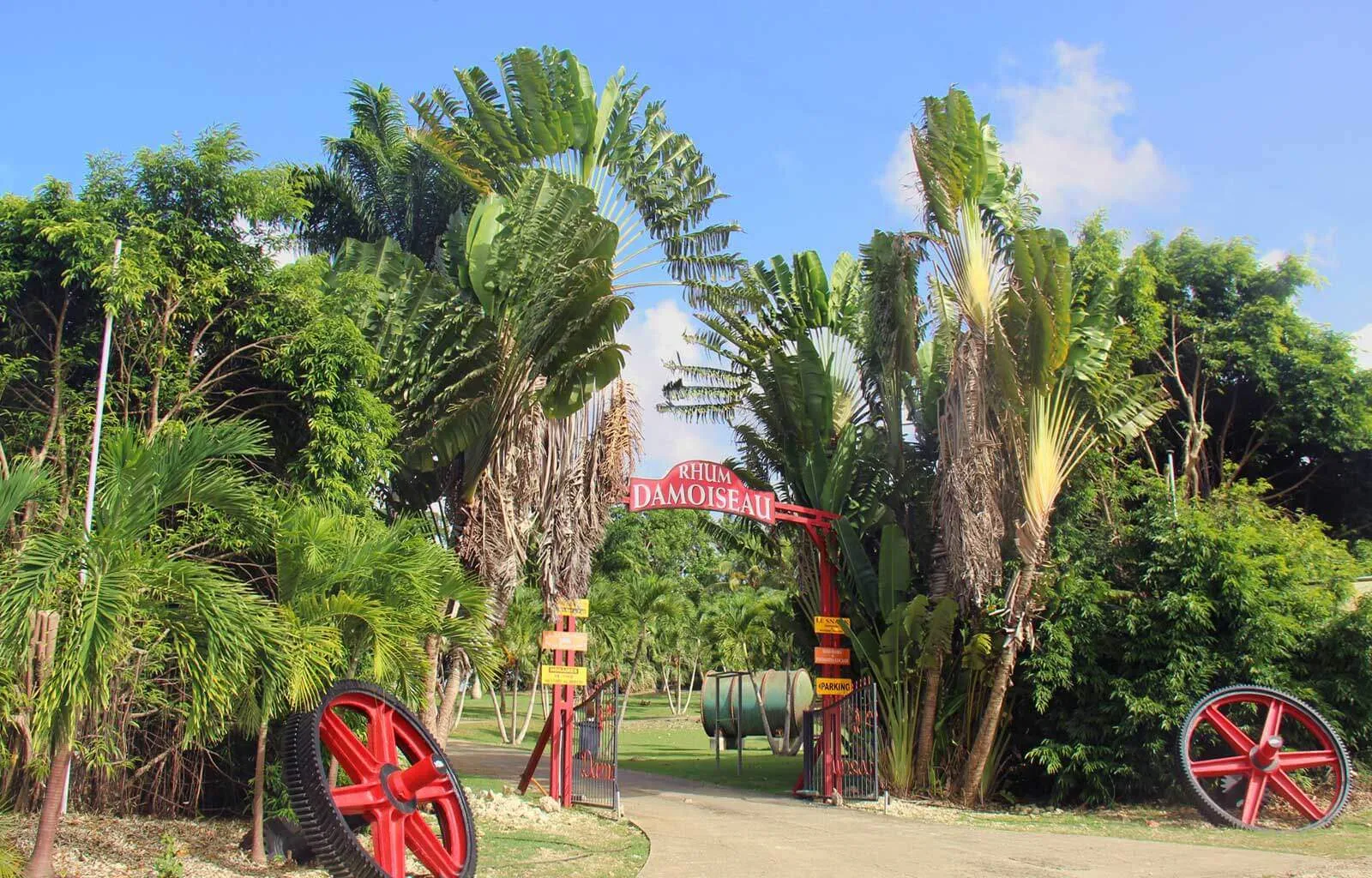 Damoiseau