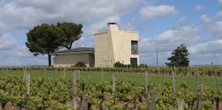 Château Le Pin