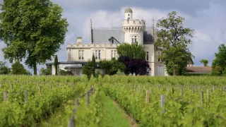 Château Pape Clément