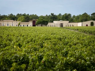 Domaine de Chevalier