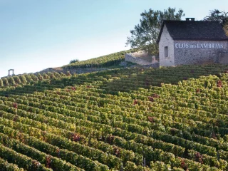 Domaine des Lambrays