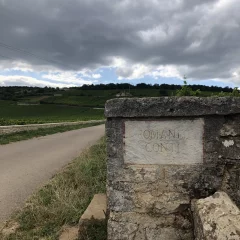 Domaine de la Romanée Conti
