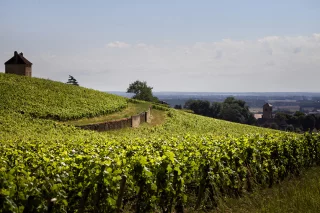 Domaine Denis Mortet