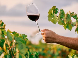 Domaine Daniel Rion & Fils
