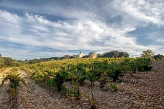 Domaine du Grand Tinel