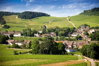 Le berceau de Cave du Val d'Or à Mercurey