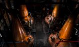 Terroirs Distillers